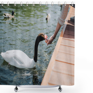 Personality  Cropped Image Of Woman Feeding Swan While Sitting On Wooden Pier  Shower Curtains