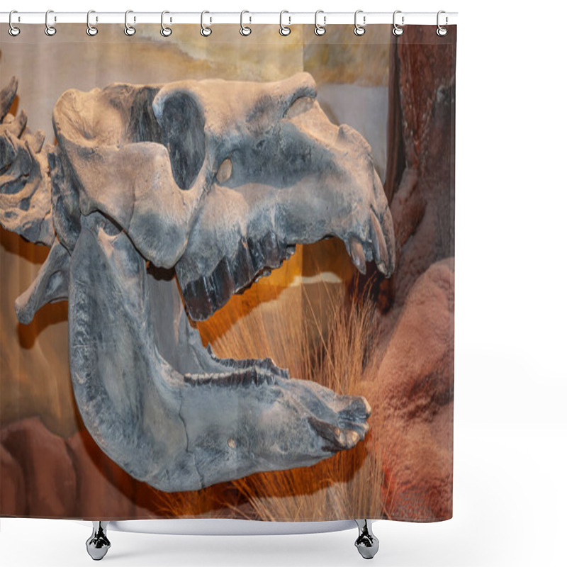 Personality  Toxodon Fossil Skeleton,  Patagonia, Argentina. Shower Curtains