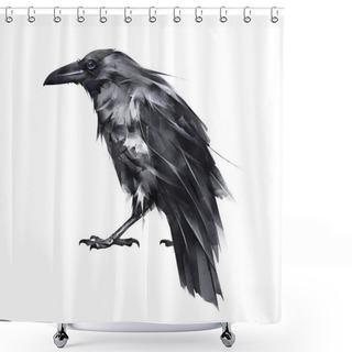 Personality  Painted Proud Rsven Back On A White Background Shower Curtains