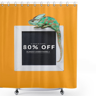 Personality  Beautiful Colorful Reptile On Blackboard With 80 Percents Off Sale Isolated On Yellow Shower Curtains