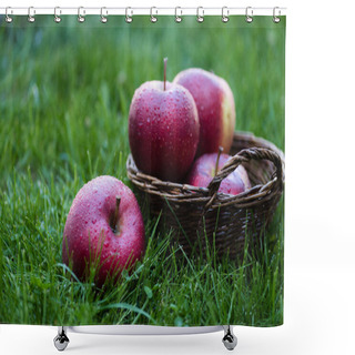 Personality  Fresh Picked Red Apples  Shower Curtains