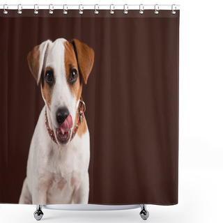 Personality  Licking Dog Puppy Shower Curtains