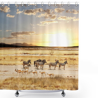 Personality  Safari In Namibia Shower Curtains
