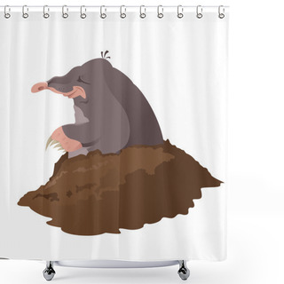 Personality  Vector Image Of Smiling Cartoon Grey Mole Shower Curtains