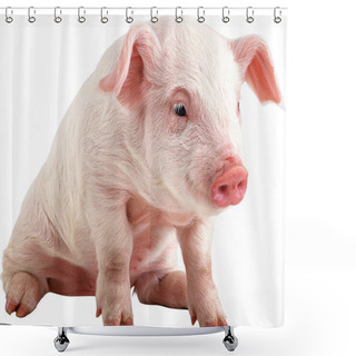Personality  Little Piggy Shower Curtains