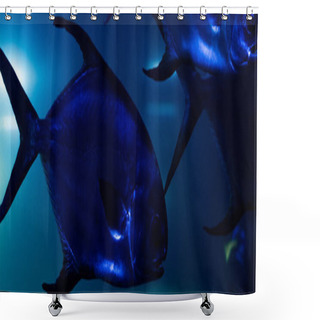 Personality  Fishes Swimming Under Water In Aquarium With Blue Lighting, Panoramic Shot Shower Curtains