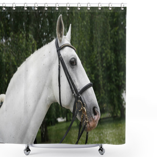 Personality  Horse Head On Green Natural Background Rural Scene Shower Curtains