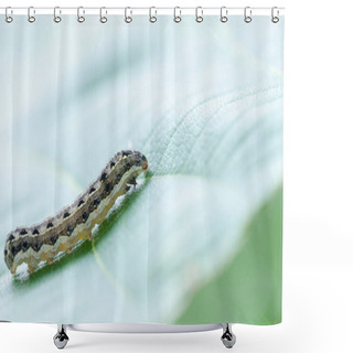 Personality  Close Up Of Common Cutworm On Leaves Shower Curtains