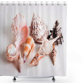 Personality  Seashell Is A Gift From The Sea Shower Curtains