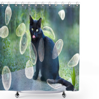 Personality  Toxoplasma Gondii Awareness Conceptual Image Shower Curtains
