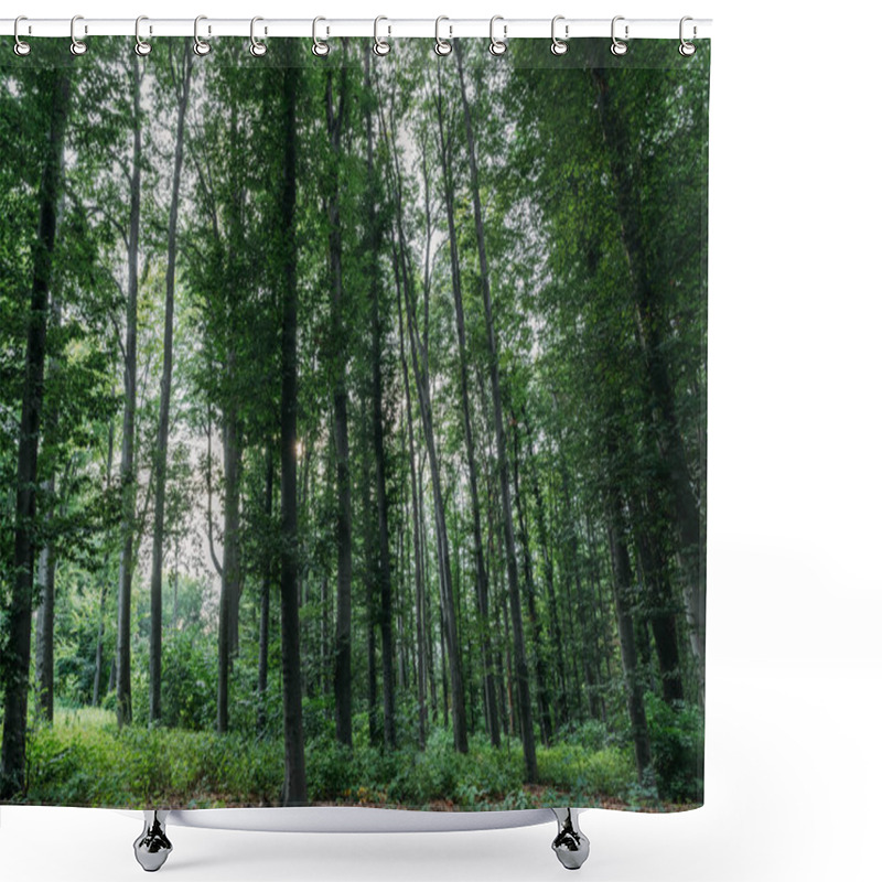 Personality  Dramatic Shot Of Green Forest On Cloudy Day Shower Curtains