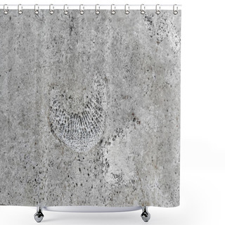 Personality  Stone Texture With Fossils  Shower Curtains