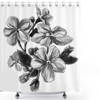 Personality  Forget Me Not Flowers Shower Curtains