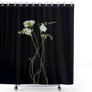 Personality  Beautiful Freesia Flowers With Stems Isolated On Black Shower Curtains
