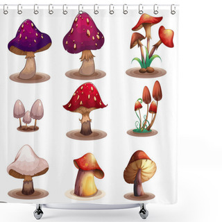 Personality  Different Kinds Of Mushrooms Shower Curtains