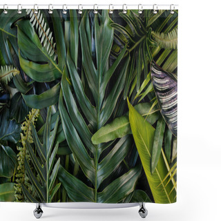 Personality  Creative Design Of Leaves, Tropical Leaf, Nature Background And Abstract Green Leaf Texture, Nature Concept. Shower Curtains