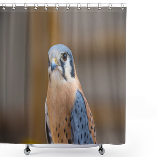 Personality  American Kestrel Shower Curtains