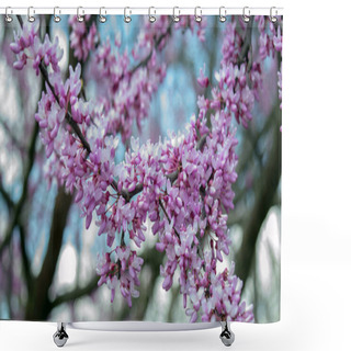 Personality  There Is Not Much More Beautiful Than The Color Of Redbud Tree Blooms Coming To Life In The Spring After A Cold Winter In The Ozarks. Bokeh Effect. Shower Curtains
