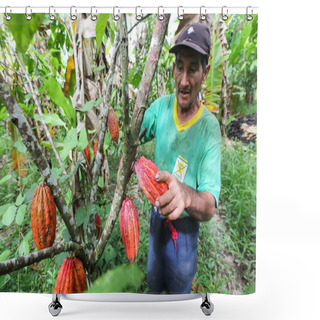 Personality  Cocoa Growers In Rainforest In Peru Shower Curtains