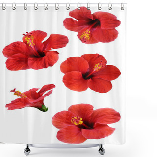 Personality  Flowers Isolated On White. Colorful Illustration. Shower Curtains