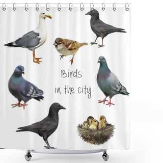 Personality  Birds Isolated On White Background. Shower Curtains