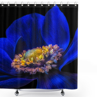 Personality  Fine Art Still Life Floral Macro Of The Inner Of A Single Isolated Wide Open Dark Blue Anemone Blossom With Detailed Texture On Black Background In Surrealistic Vintage Painting Style Shower Curtains