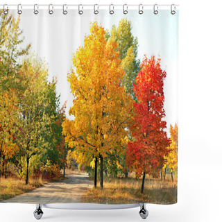 Personality  Autumn Maple Trees Shower Curtains