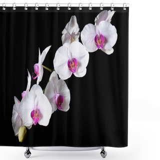 Personality  Orchid Flowers Shower Curtains
