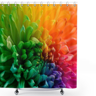 Personality  Multicolored Petals Of Chrysanthemum. A Rainbow-colored Flower. Close-up Texture Shower Curtains