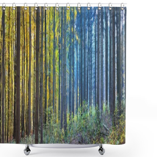 Personality  Pathway Through The Forest Hills In A Fog. Mighty Beech Trees, Colorful Leaves. Fairy Autumn Landscape. Pure Sunlight, Sunbeams Through The Tree Trunks. Nature, Seasons, Ecology, Environment Shower Curtains