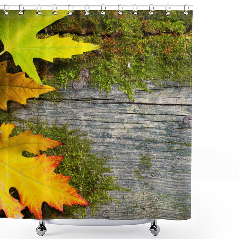 Personality  Art Autumn Leaves On The Grunge Old Wood Background Shower Curtains