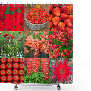 Personality  Collage With Red Flowers,vegetables And Berries Shower Curtains