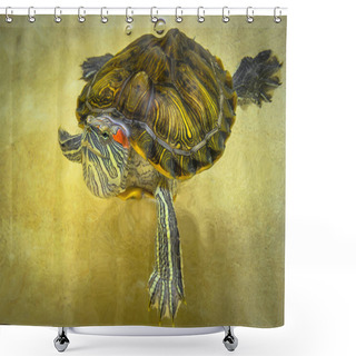 Personality  Turtle Swims In The Water Top View. Shower Curtains