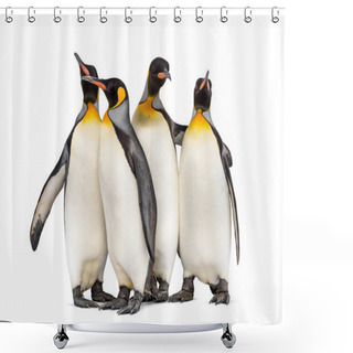Personality  Colony Of King Penguins Together, Isolated On White Shower Curtains