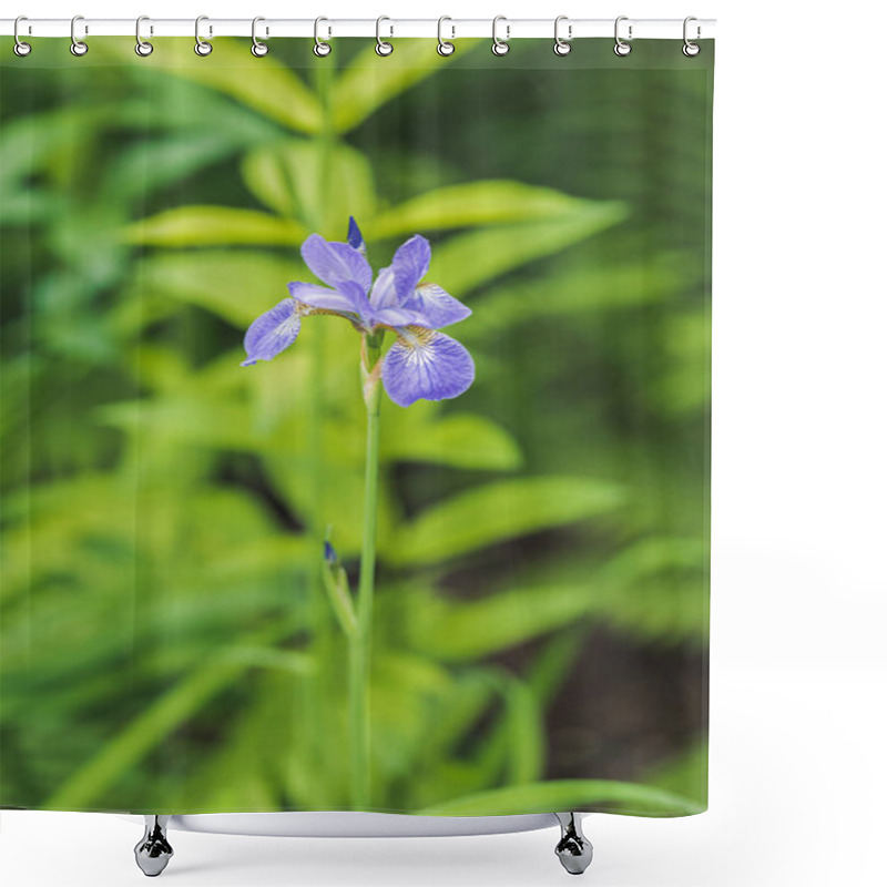 Personality  Close-up Shot Of Beautiful Iris Flower On Green Natural Background Shower Curtains