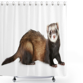 Personality  Ferret Shower Curtains