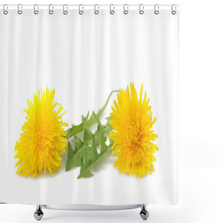 Personality  Dandelion With Flowers Isolated On White Background Shower Curtains