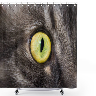 Personality  Cat's Eye Large Shower Curtains
