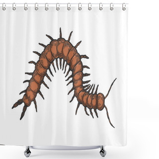 Personality  Scolopendra Insect Animal Sketch Engraving Vector Illustration. T-shirt Apparel Print Design. Scratch Board Imitation. Black And White Hand Drawn Image. Shower Curtains