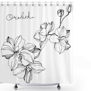 Personality  Vector Orchid Floral Botanical Flower. Black And White Engraved Ink Art. Isolated Orchid Illustration Element. Shower Curtains