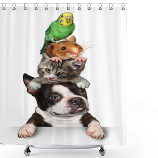 Personality  Group Of Pets Shower Curtains