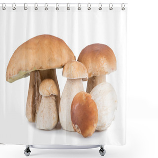 Personality  Ceps On White Background Shower Curtains