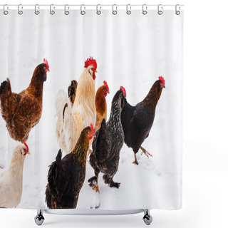 Personality  Chickens On Farm On White Shower Curtains