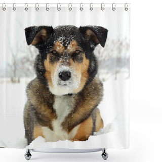 Personality  German Shepherd Dog Laying In Snow Shower Curtains