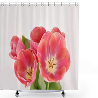 Personality  Bouquet Of Pink Spring Tulips In Vase Isolated On White Shower Curtains