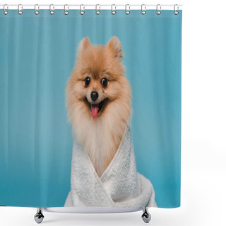 Personality  Adorable Pomeranian Spitz Dog Wrapped In Towel Isolated On Blue Shower Curtains