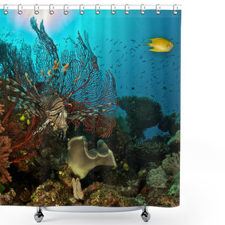 Personality  Coral And Scorpion Fish Shower Curtains