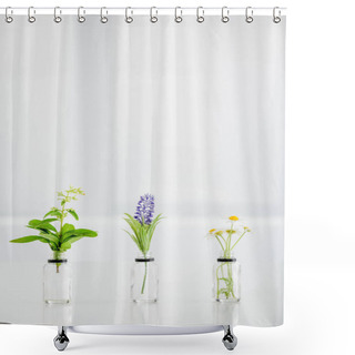 Personality  Salvia, Hyacinth And Chamomile Flowers In Transparent Bottles On White Background With Copy Space Shower Curtains