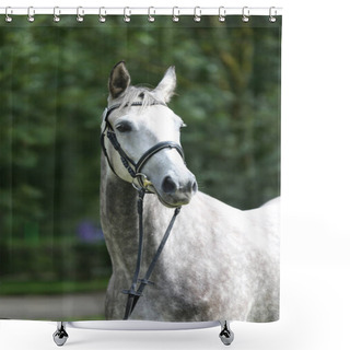 Personality  Beautiful Face Of A Purebred Horse. Portrait Of Beautiful Stallion. A Head Shot Of A Single Horse. Horse Head Close Up Portrait On Breeding Test Summer Time Outdoor Shower Curtains
