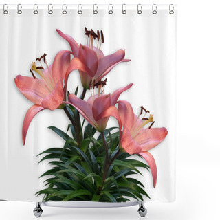 Personality  Pink Lilies Shower Curtains